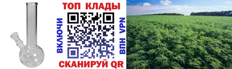 Где купить наркотики Ессентуки Марихуана Меф мяу мяу МДМА ГАШИШ COCAIN Амфетамин