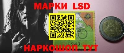 шишки Лесосибирск