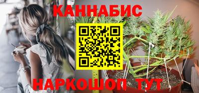 гашик Ливны
