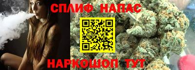 шишки Лесосибирск